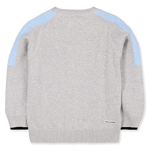 Image of Kids Boys Round Neck Full Pullover Sweater