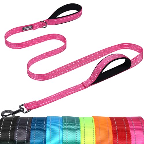 VIVAGLORY Dog Leash Twingrip Double Handle Dog Leash with Traffic Handle Control & 2 Loop for Walking & Training Reflective Heavy Duty for Puppy Pet Collar 6ft x 1in Pink