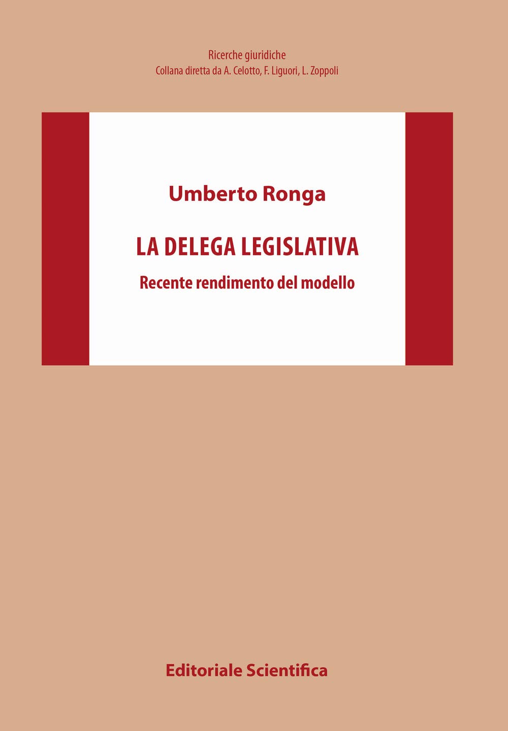 Ronga Delega Legislativa - 4