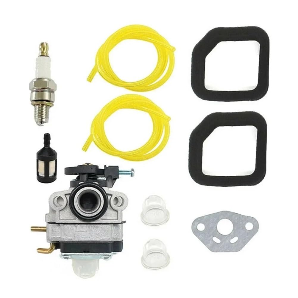 Kit carburateur RBC254SESO RLT254CDSO RLT254CSEON RPP254JO