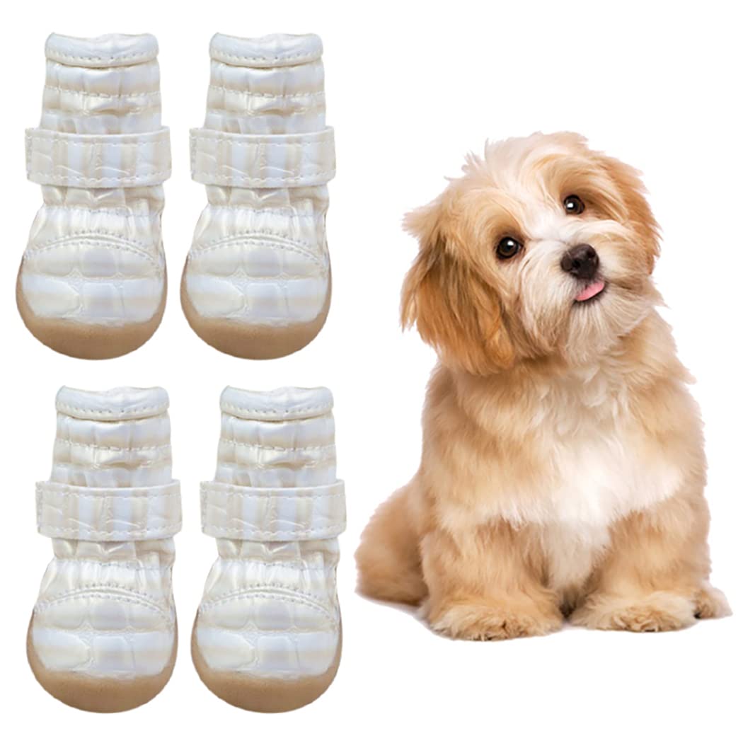 Why Do Dogs Walk Funny In Shoes