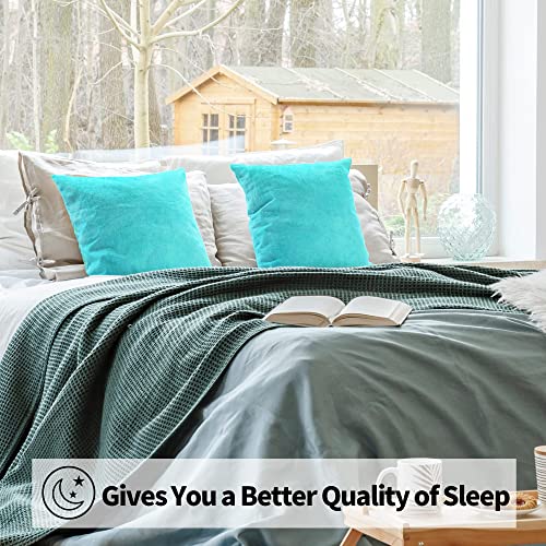 Nexcover Velvet Pillow Covers - Pack Of 2 Pillowcases, 22 X 22 Inch Throw Pillow Cover, Decorative Square Pillowcase, Soft Cushion Case, Fade Resistant Pillow Case For Bedroom, Sofa, Couch, Turquoise #TOP5