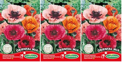 Germisem Oriental Mix Semillas de Amapola 0.25 g, EC1570 (Paquete de 3)