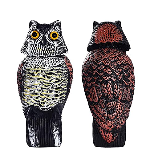 AIlysa Chouette Épouvantail, Épouvantail Décoratif Chouette, Hibou Effaroucheur Anti-Oiseaux Epouvantail, Statue de Hibou avec Tête Rotative à 360 °, Réaliste Hibou, Dissuasif pour Oiseaux pour Jardin