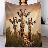 AASWSWW Decke Giraffe Decken Tagesdecke - Weiche Flannel Decke Sofadecke - Wohndecke Sofaüberwurf Bettüberwurf （180×200cm）