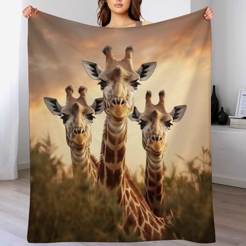 AASWSWW Decke Giraffe Decken Tagesdecke - Weiche Flannel Decke Sofadecke - Wohndecke Sofaüberwurf Bettüberwurf （180×200cm）