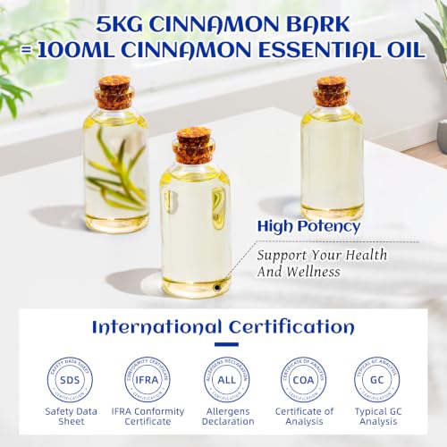 Image of HIQILI Cinnamon Essential Oil for Spray, Skin Care, Diffuser | Brings Refreshing Mind Boost, Gentle Household Barrier, Versatile DIY & Full Space Odor Removal -100ml / 3.38 fl oz