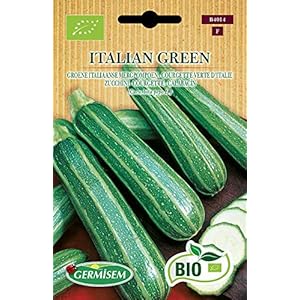 Germisem Organisch Italian Green Courgette Zaden 3 g