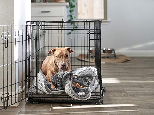 Pet Parents Pawtect Blanket, Premium Waterproof Cat & Dog Blanket with WickQuick & Sherpup Technology, Puppy Blanket… - Image 6
