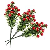 Photo Gallery garneck 3 mazzi decorazione frutta artificiale ciliegie finte rosse mini realistico manutenzione bacche natalizie artificiale Photo Gallery garneck 3 mazzi decorazione frutta artificiale ciliegie finte rosse mini realistico manutenzione bacche natalizie artificiale