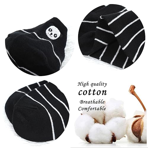 View 5