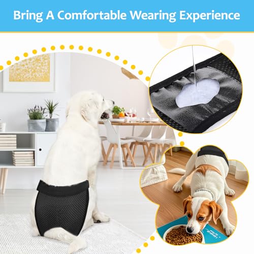 3er-Pack LäUfigkeitshose FüR HüNdinnen,HöSchen FüR Hunde LäUfigkeit, Mit 10 Damenbinden, Verstellbare Taille, Geeignet FüR LäUfige HüNdinnen, Schwarz XL