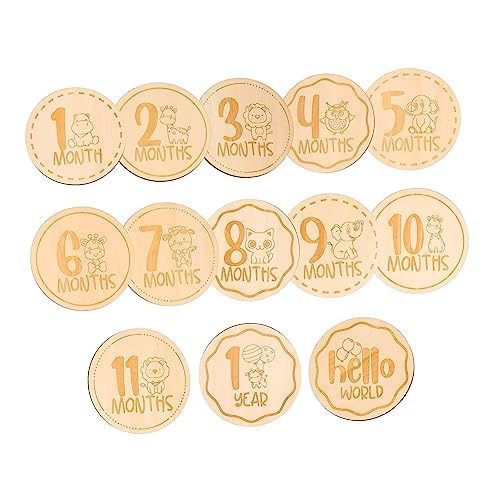 Totority 13ؐ  L^J[h  fUC  ʐ^Bep vbvX V L^fBXN xr[