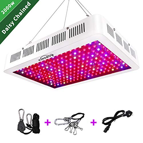KINGBO 2000W Double Chips LED Grow Light Full Spectrum Grow Lamp with Rope Hanger and Daisy Chain for Greenhouse Hydroponic Indoor Plants Veg and Flower (10W Leds)