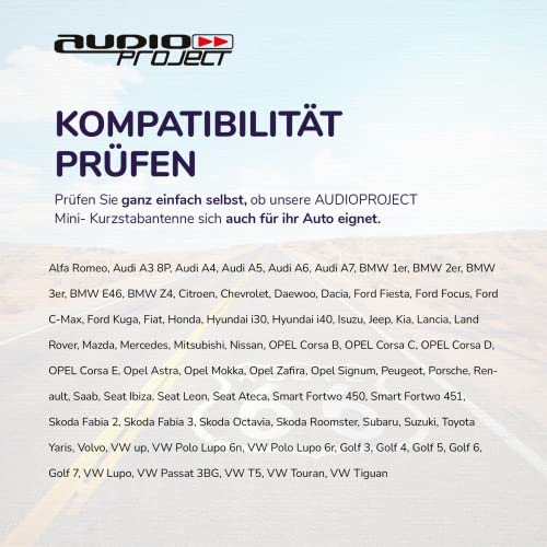 Autoantenne Audioproject A282 mit Raku 2 und Verstärker