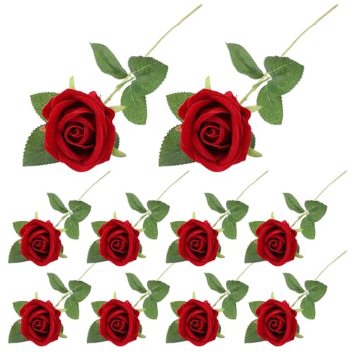  o [Y KN y10{Zbgz ԑ uAgbh a7cm×50cm o^C ̓ a  v[g u[P