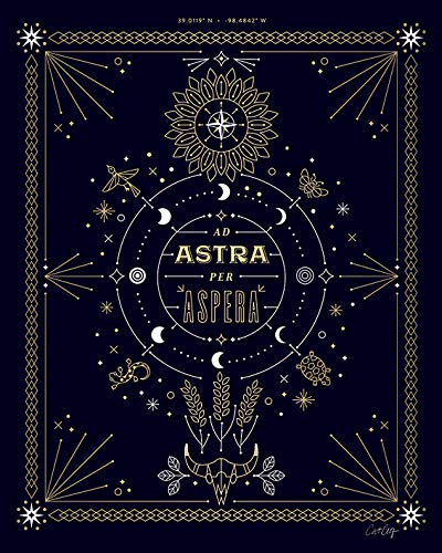 Toile imprimée Ad Astra 40 x 50 cm pour habiller un mur vide avec élégance