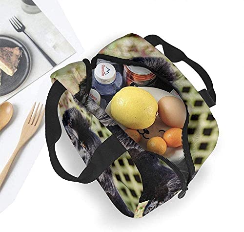 Ahdyr Tessuto per cani di Terranova Simpatici cani Borsa termica portatile per il pranzo Borsa per il pranzo per donne Uomini Ragazzi Ragazze con lavoro Picnic Viaggi