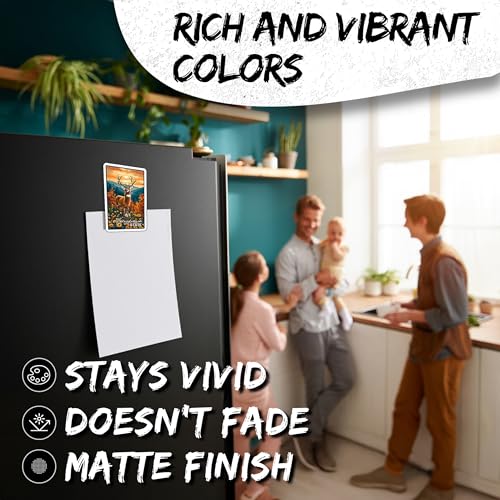 Imanes decorativos de vinilo pack 2 USA 4 pulgadas miniatura 4