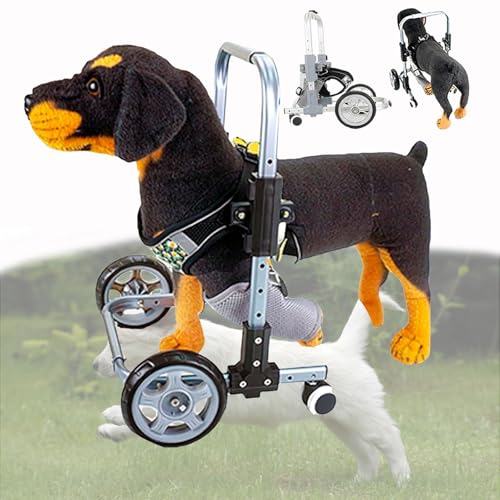 Silla de ruedas para perros con 4 ruedas de metal ajustables que facilitan el ejercicio 2