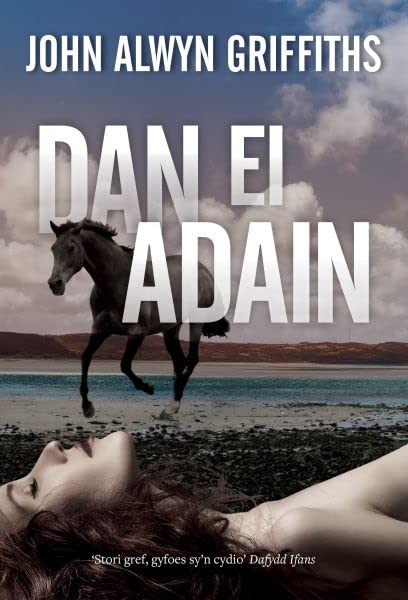 Dan ei Adain (Welsh Edition)