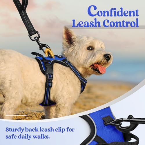 Image of rabbitgoo Dog Harness No Pull with 2 Leash Clips, Adjustable Soft Padded, Reflective Oxford No Choke Pet Vest with Easy Control Handle for Puppy, Dazzling Blue,XS
