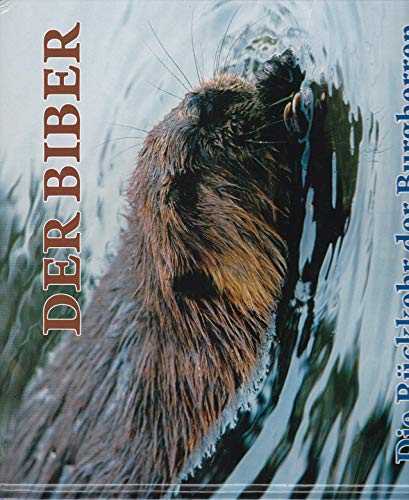 Der Biber Der Biber