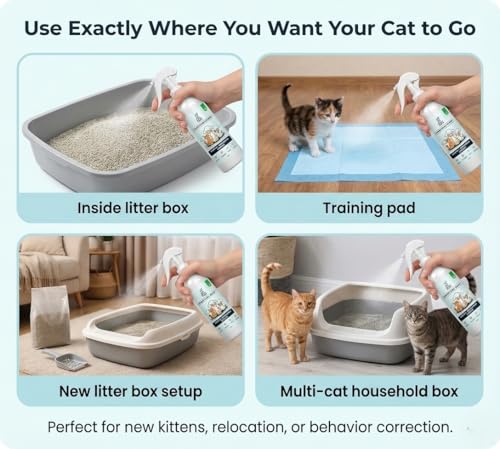 Image of Pawsitive Start Potty Training Spray for Cats | Dual-Action Litter Attractant & Scent Reset Formula | Natural Bio-Scent Aid for Kittens & Senior Cats | Fast-Drying, Non-Staining | 200ml