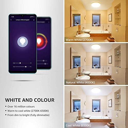 LE Smart LED Lampa Sufitowa 15 W 1250 lm, Sterowanie Głosowe lub Aplikacją, Wodoodporność IP54, Kompatybilna z Alexa i Google Home, Nie Wymaga Koncentratora, RGB 2700 K - 6500 K