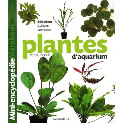 Plantes d'aquarium