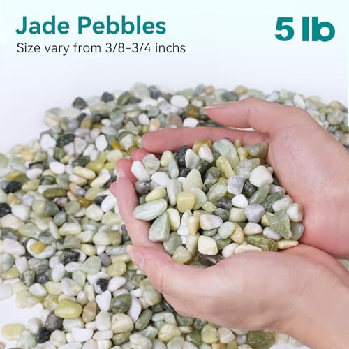 Image of 5 lbs Jade Pebbles for Indoor Plants, 3 /8 inch Plant Rocks for Pots Indoor, Decorative Small Stones for Plants, Bamboo,Vase, Succulent, Highly Polished Small River Rocks