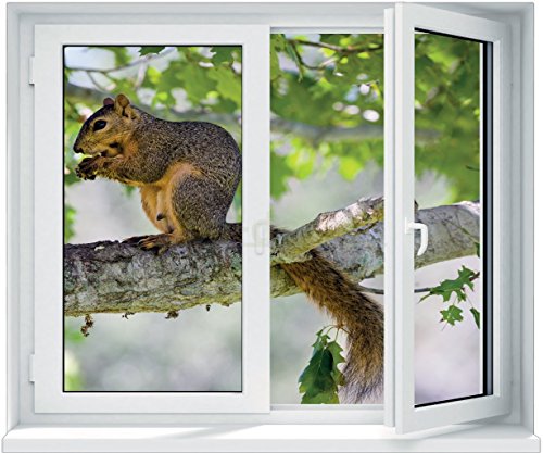 PPA DESIGN Sticker Fenêtre Trompe l'oeil Ecureuil sur l'arbre- SATOFE0271 (70x58cm) Cover