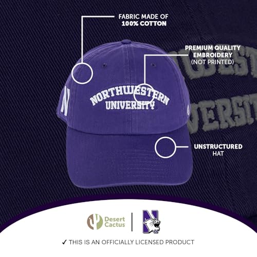 Desert Cactus Northwestern University Gorra Baseball Ajustable miniatura 4