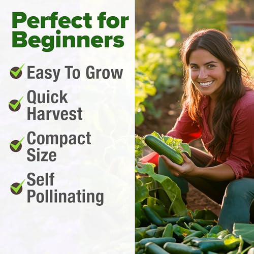 Image of HOME GROWN Persian Cucumber Seeds 50+ Heirloom Non-GMO, Beit Alpha Variety, High Germination, Sweet Thin Skin, Burpless Snacking Cucumbers, Fast Growing, Indoor Outdoor Garden Crop (Cucumis sativus)