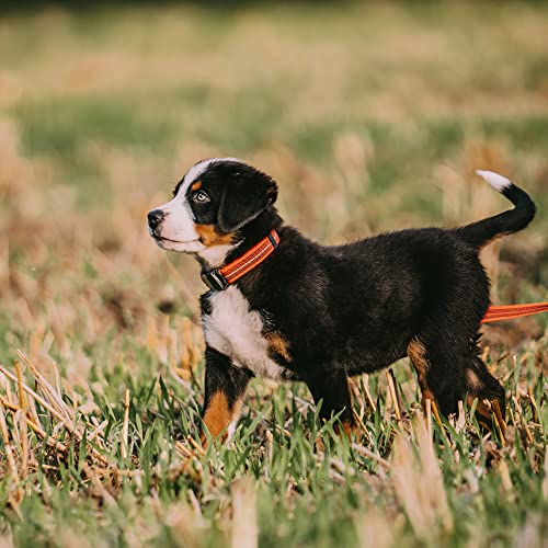 Verstellbares Halsband - reflektierend, neon orange, 30-45 cm