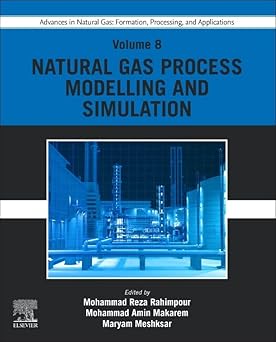 Advances in Natural Gas: Formation, Processing, and Applications. Volume 8: Natural Gas Process Modelling and Simulation (Formation, Processing and Applications, 8)-Wow! eBook