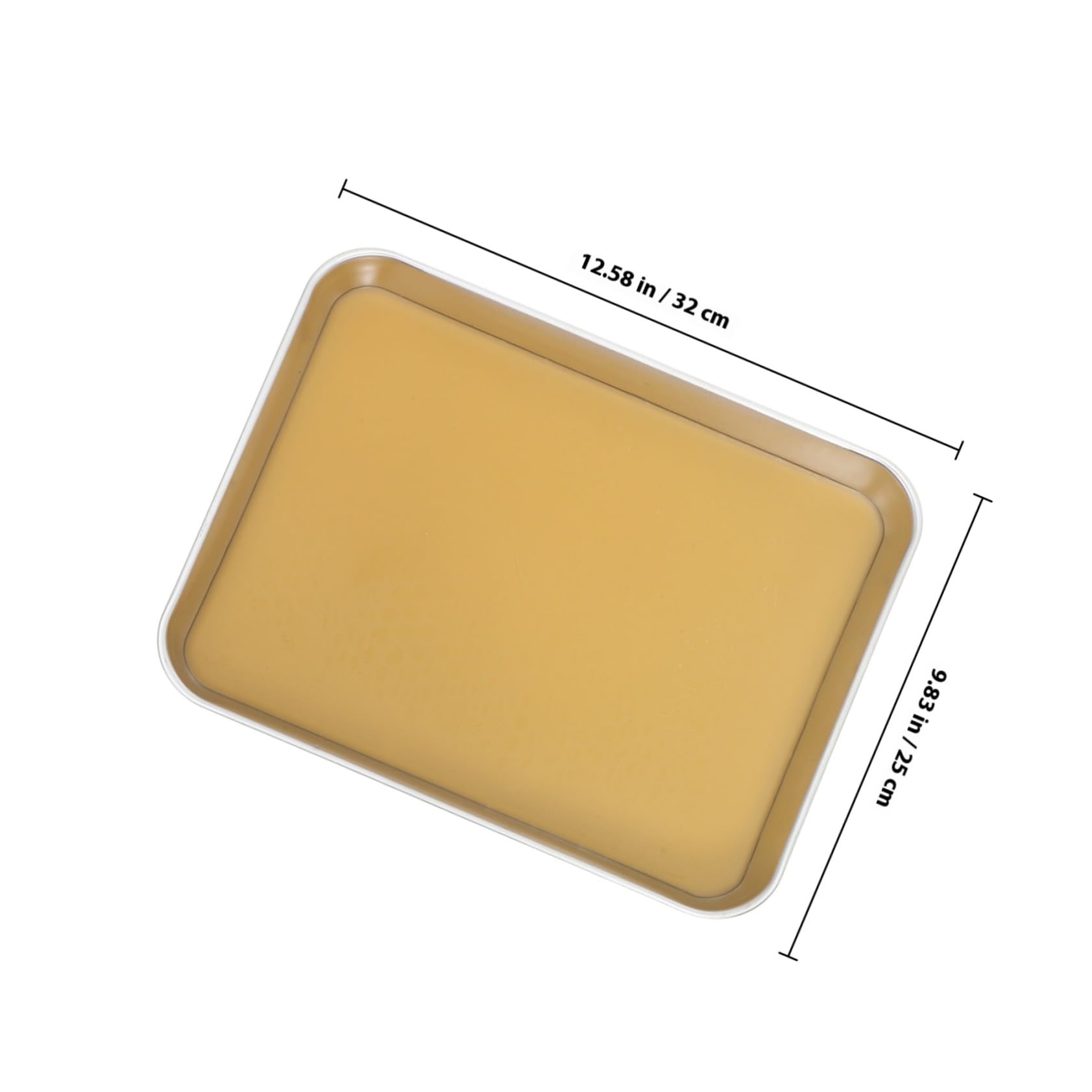 Cabilock Vassoio da Dissezione in Acciaio Inox con Cera per Laboratorio Biologico Design Preciso e Bordi Arrotondati Antinfortunistici Strumento Versatile per Studi Anatomici Scuola Media e
