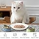 UOCAI 4PCS Katzennapf Flach Keramik Katzenteller Katzen Futternapf Napf Fressnapf Katze, Flacher Katzennäpfe Katzenschüssel Katzen Näpfe Napfset Teller Flache Futterschale Keramiknapf Katzenfressnapf