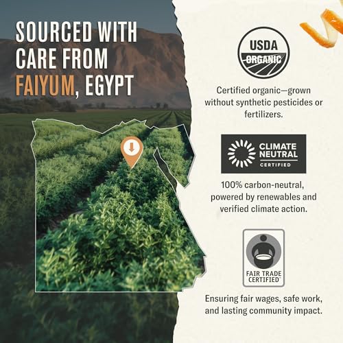 Numi Tea Organic Moroccan Mint Tea, 18 Herbal Tea Bags, Caffeine Free