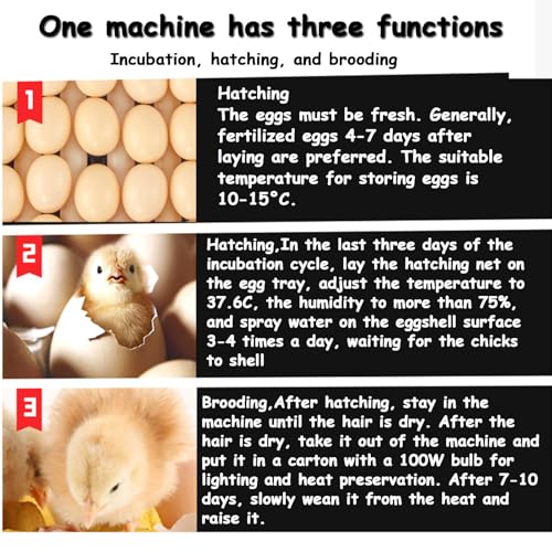 Incubadora automática de huevos con función de giro y agua, incluye vela para incubar aves de corral y huevos de aves