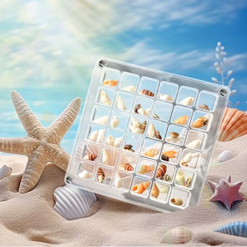 Magnetische Muschelvitrine aus Acryl, 36 Fächer, Muschelvitrine, doppelseitig zu öffnen, magnetische Muschelvitrine aus Acryl für Muscheln, Seesterne, Schmuck, Perlen, Nägel, Schmuck
