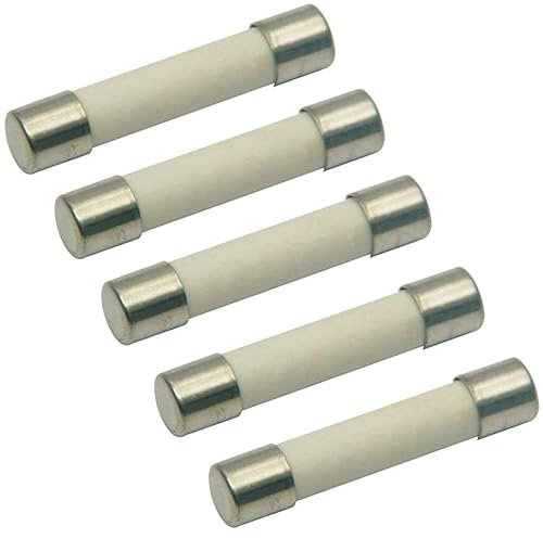 Steren 250 VAC, 15 A, fusible de cerámica industrial