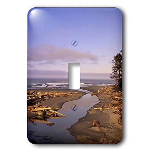 Interrupteur à bascule design 3dRose art Kalaloch Beach multicolore