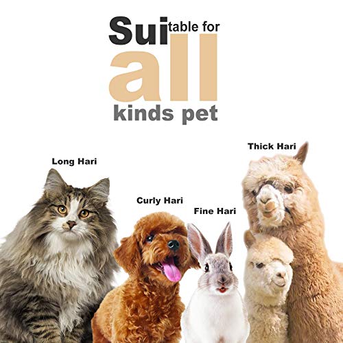 Brobantle Dog Grooming Clippers Professional Low Noise Cordless Dog Clippers with 2 Titanium Alloy Blades Pet Hair Trimmer Kit Rechargeable Shaving Tool for Cats Dogs and Other Animals-White - Thumbnail 5