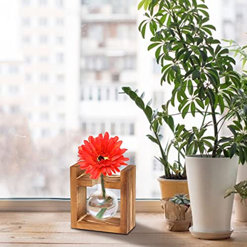 Kingbuy Plant Propagation Station Glass Terrarium Planter Flower Pot With Retro Solid Wooden Stand For Home Kitchen Indoor Garden Wedding Desktop Decor, 1 Bulb Vase #TOP2