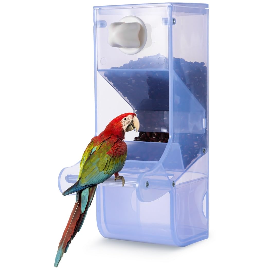 Mangeoire automatique semi-transparente pour perroquet avec perchoir, distributeur de graines d'oiseaux sans désordre pour cage, récipient de nourriture pour oiseaux, accessoires de cage pour petits