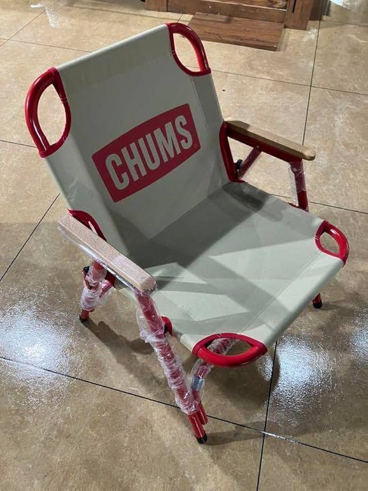 Amazon.co.jp: チャムス chums バックウィズチェア アウトドア 椅子