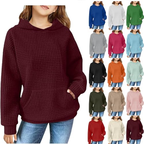 Cute Hoodies For Teen Girls Waffle Knit Hooded Long Sleeve Pullover Top Trendy Fall Fashion Sweatshirt Preppy Clothes