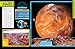 National Geographic Kids Space Encyclopedia, 2nd Edition: A Tour of Our Solar System and Beyond (NGK Encyclopedias)