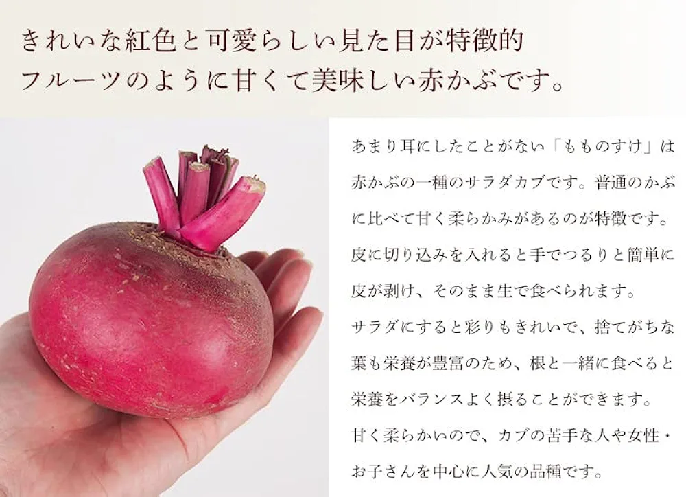 Yageさん専用　あかかぶ　もものすけ　20kg Yageさん専用 あかかぶ もものすけ 20kg